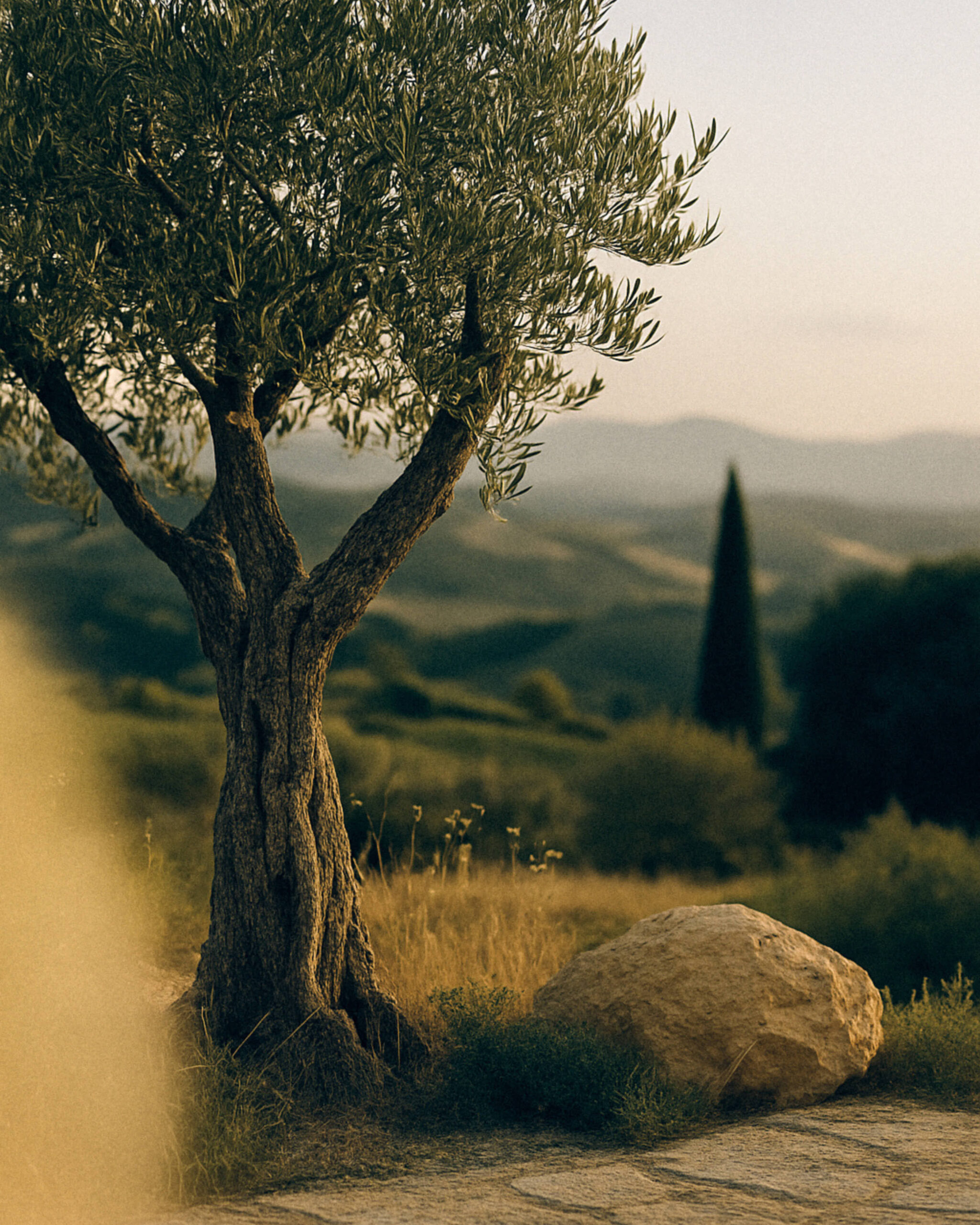 AI Crafted photography content for Savannah Bay Gallery - Studio Based in Paris